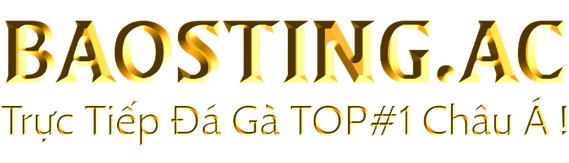 BaoSting.AC